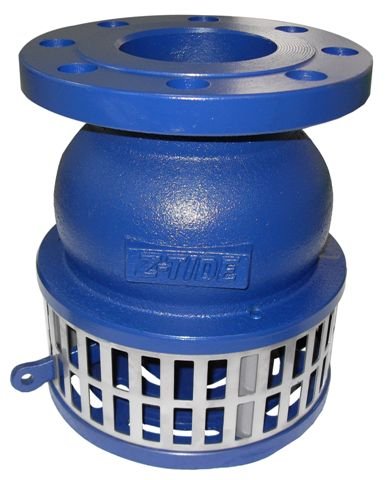 Pump prime aid suction valve with basket filter